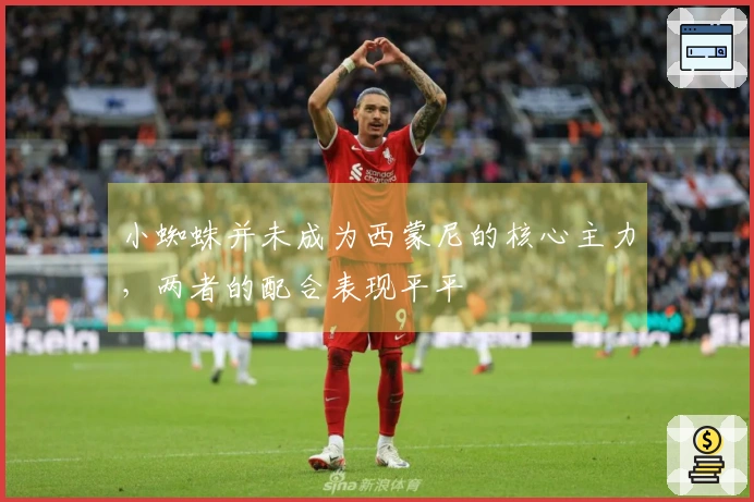 小蜘蛛并未成为西蒙尼的核心主力，两者的配合表现平平