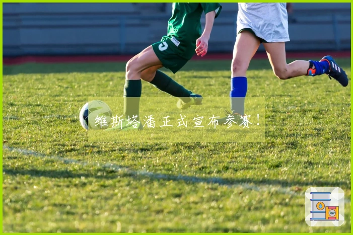 维斯塔潘正式宣布参赛！